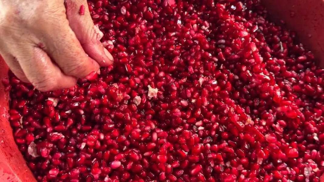 Antalya’da Kadınların Elinden Altın Değerinde Nar Ekşisi! 6